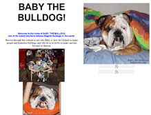 Tablet Screenshot of bullybaby.com